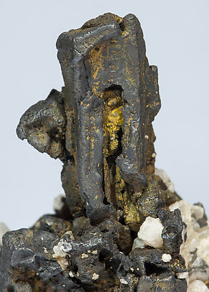 Acanthite with Quartz and Pyrite. 