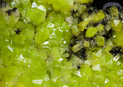 Adamite (variety cuprian). 