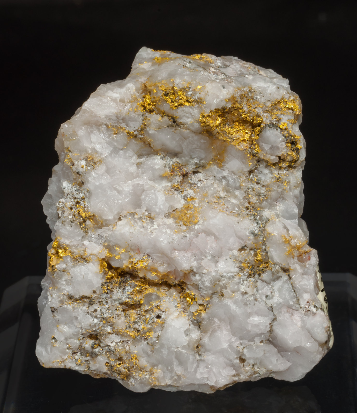 specimens/s_imagesAH5/Gold-CB16AH5f.jpg