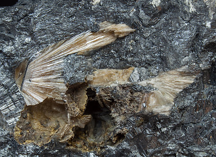 Valentinite with Stibnite. 