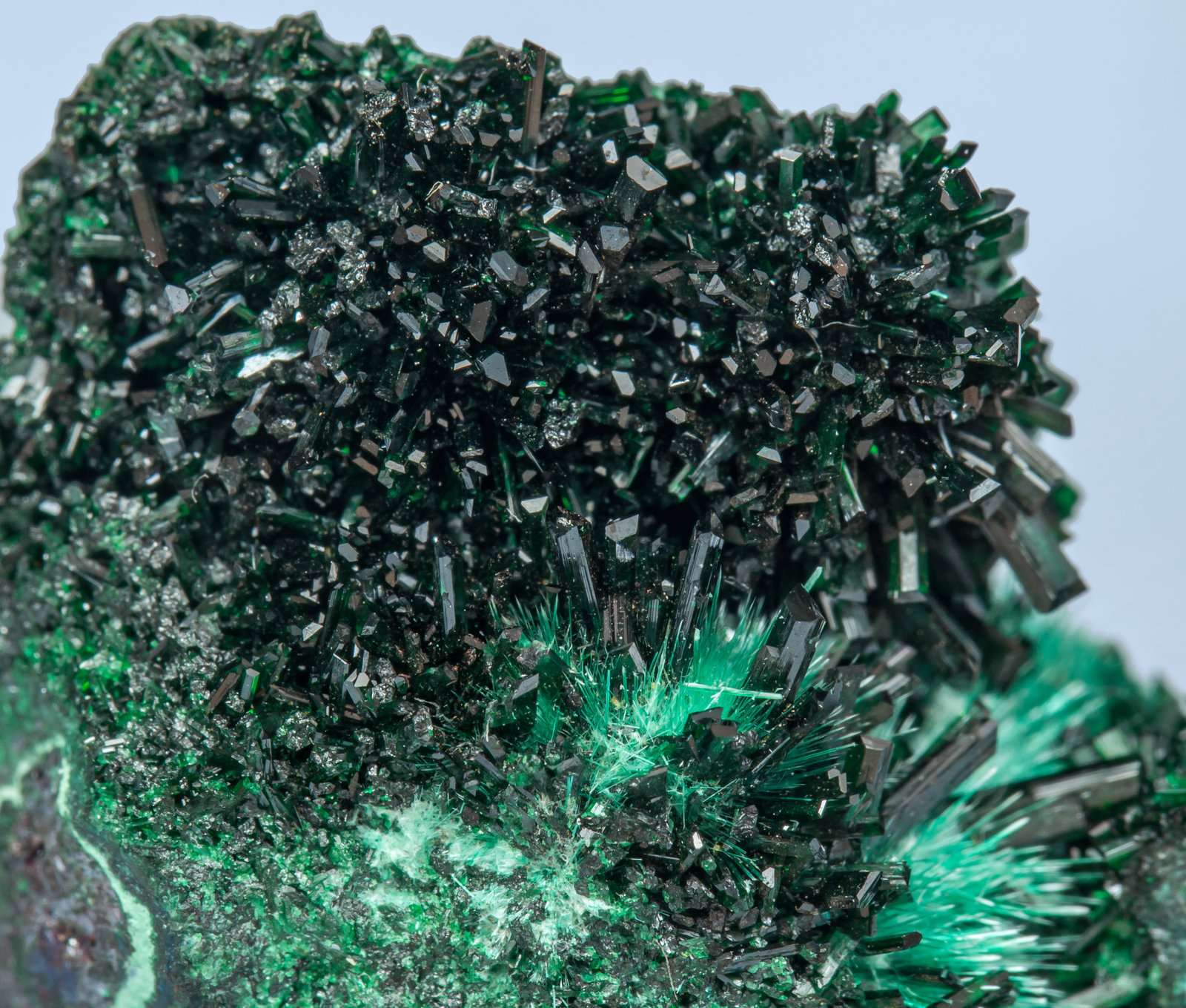 specimens/s_imagesAH6/Atacamite-TM47AH6d2.jpg