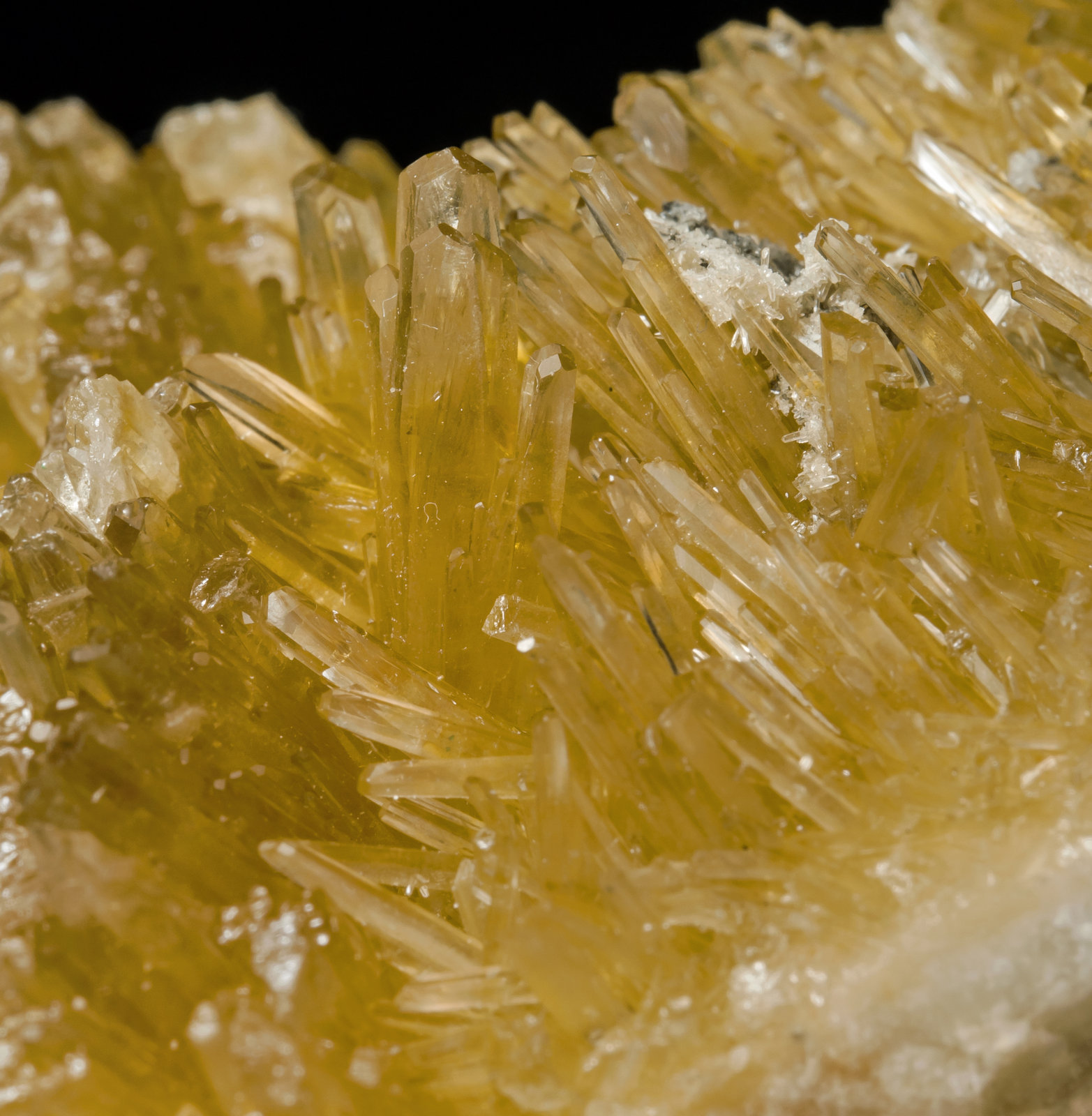 specimens/s_imagesAH6/Baryte-DR14AH6d.jpg