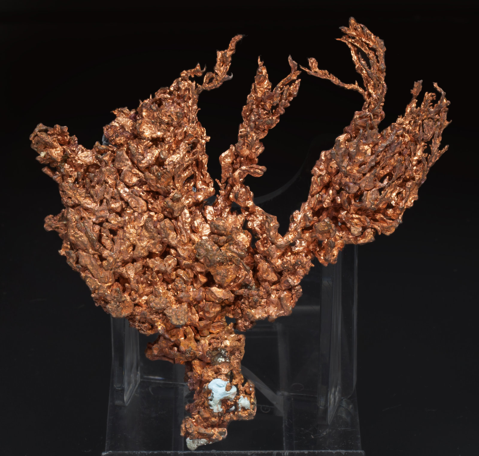 specimens/s_imagesAH6/Copper-TC13AH6f.jpg
