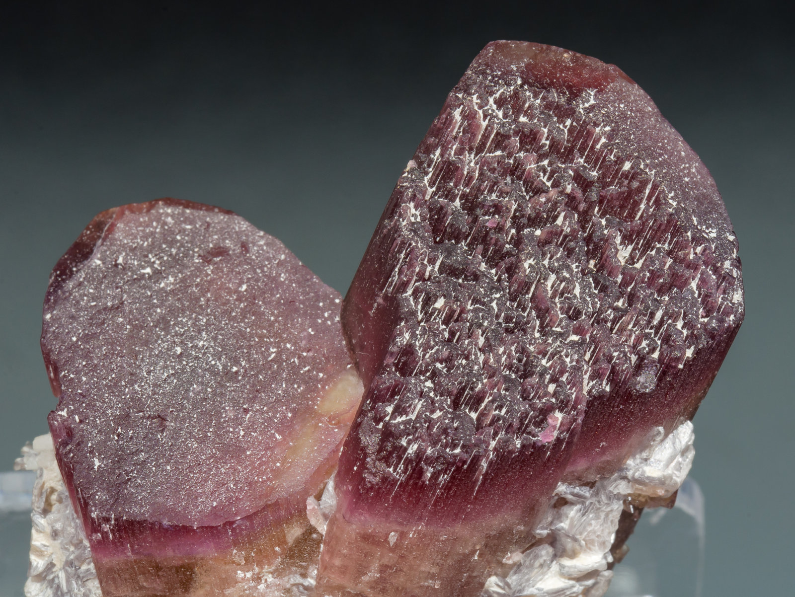 specimens/s_imagesAH6/Elbaite_rubellite-EX74AH6d1.jpg