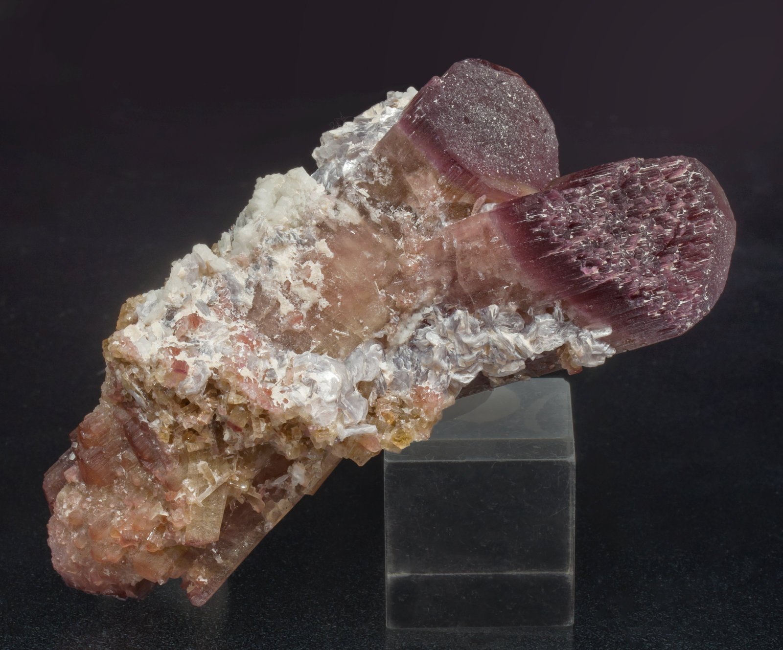 specimens/s_imagesAH6/Elbaite_rubellite-EX74AH6r.jpg