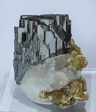 Ferberite with Quartz and Muscovite.