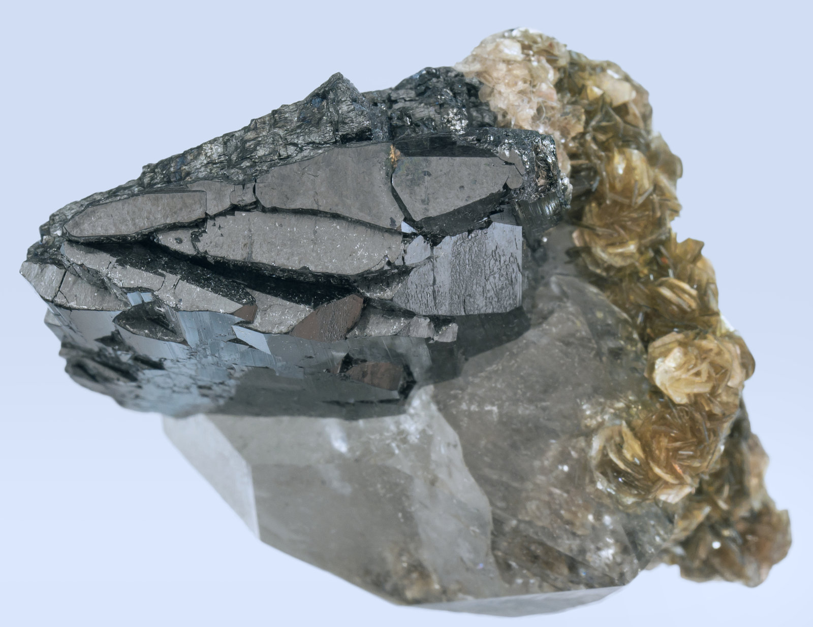 specimens/s_imagesAH6/Ferberite-CR47AH6t.jpg