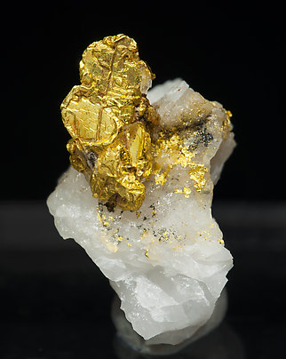 Gold with Quartz.