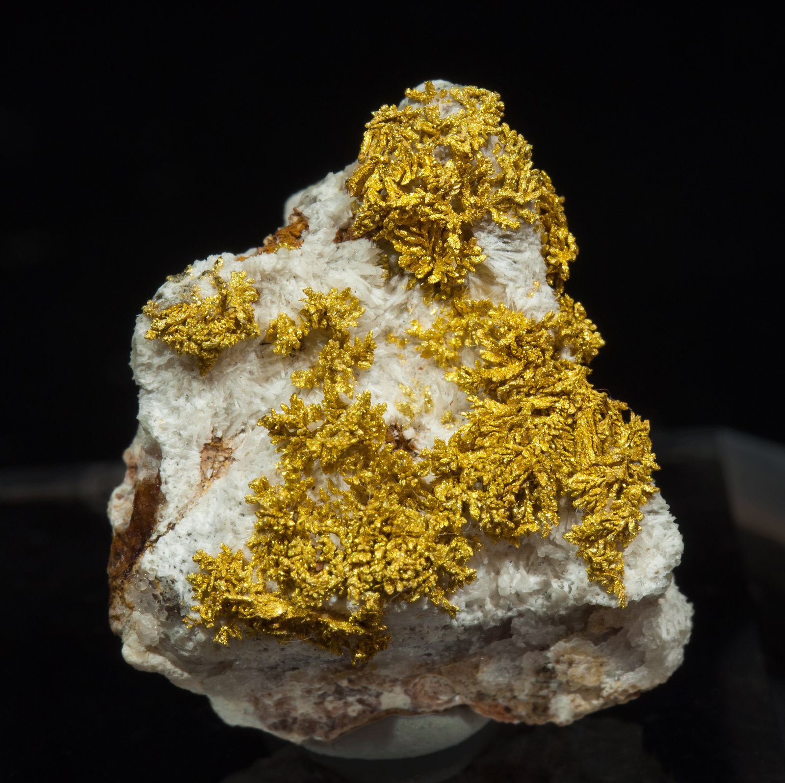 specimens/s_imagesAH6/Gold-CV96AH6f.jpg