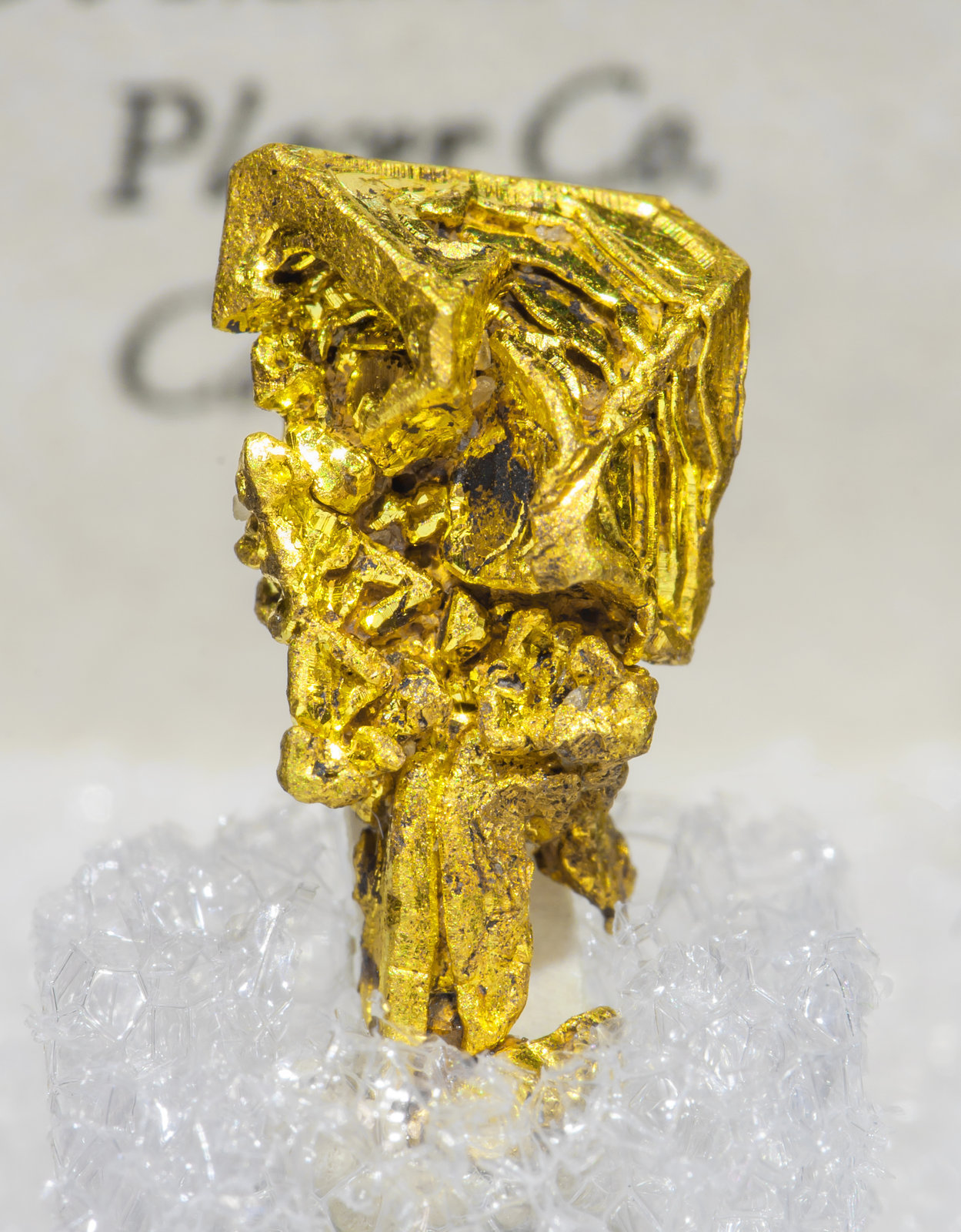 specimens/s_imagesAH6/Gold-TQ29AH6f2.jpg