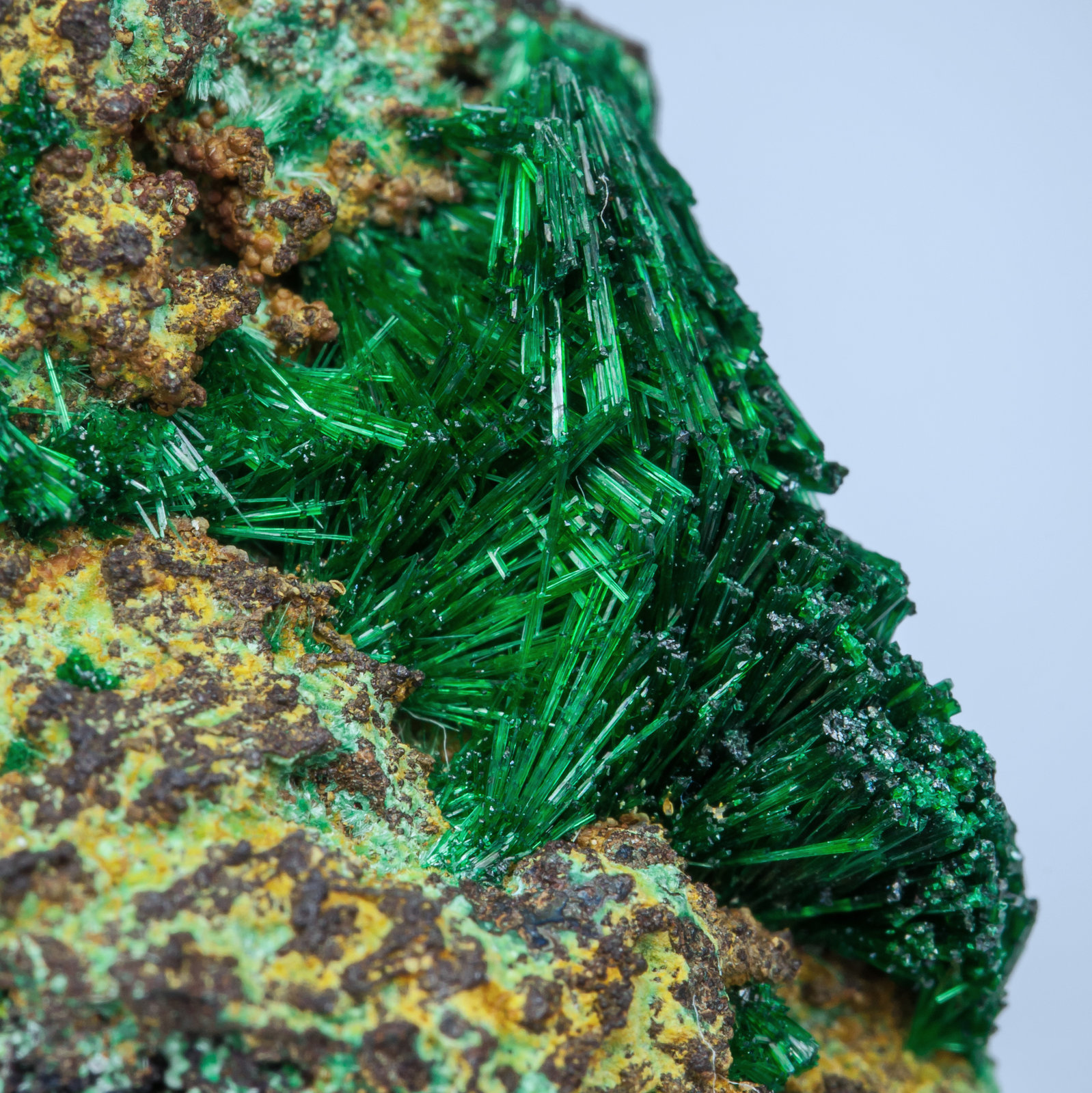 specimens/s_imagesAH6/Malachite-CP10AH6d.jpg