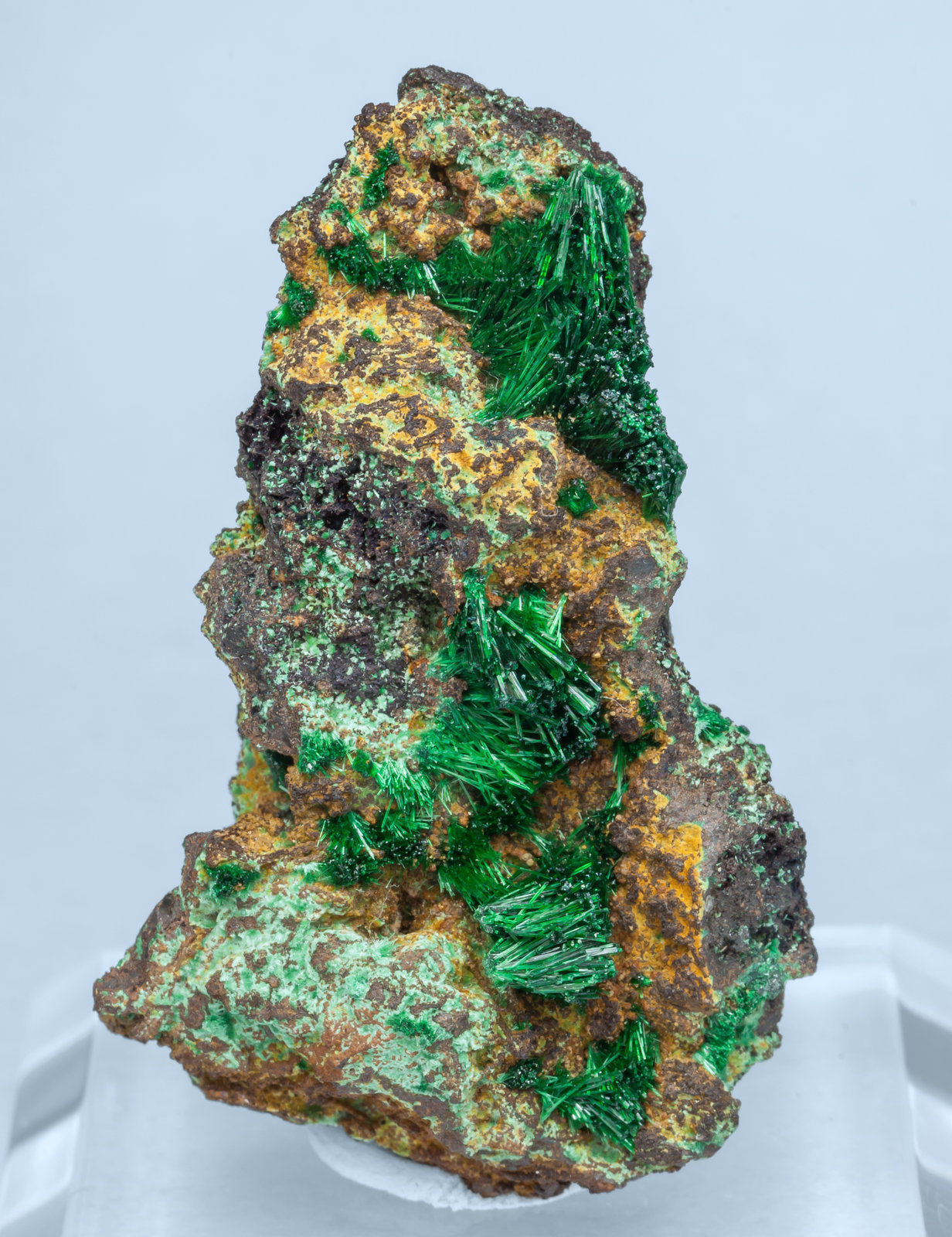 specimens/s_imagesAH6/Malachite-CP10AH6f.jpg