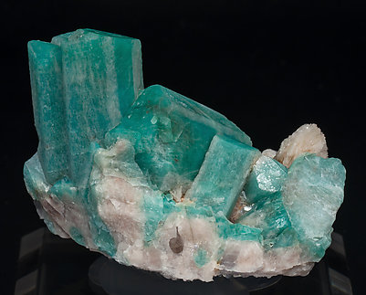 Microcline (variety amazonite) with Albite and Schorl. Rear