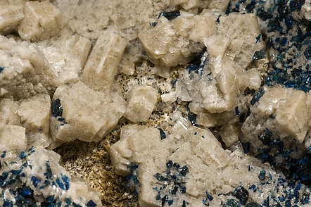 Whiteite-(CaFeMg) with Lazulite and Quartz. 