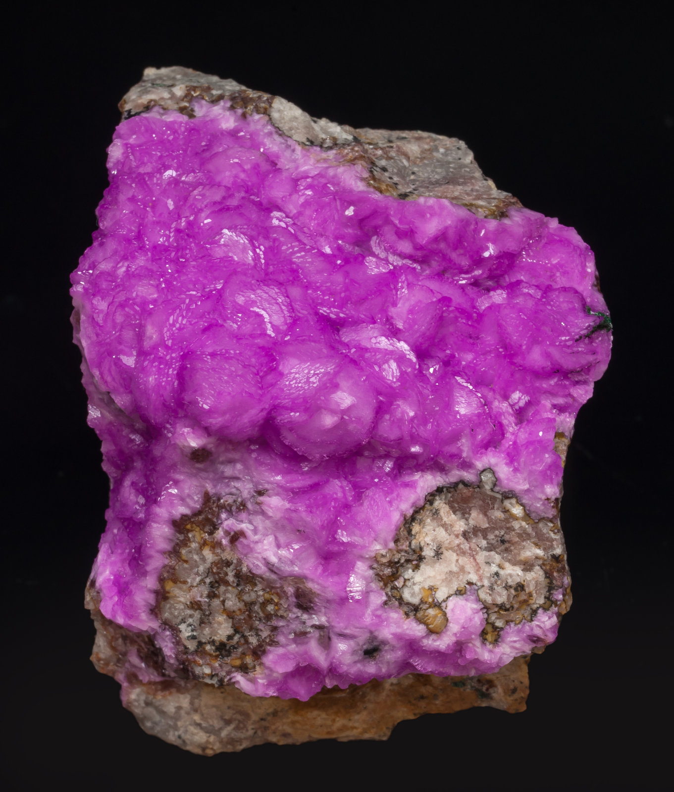 specimens/s_imagesAH7/Calcite_cobaltoan-DD47AH7f.jpg