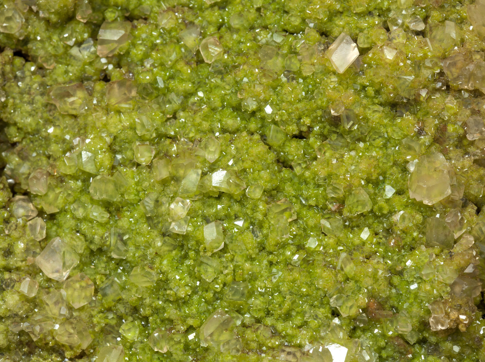 specimens/s_imagesAH7/Conichalcite_Duftite-MJ47AH7d.jpg