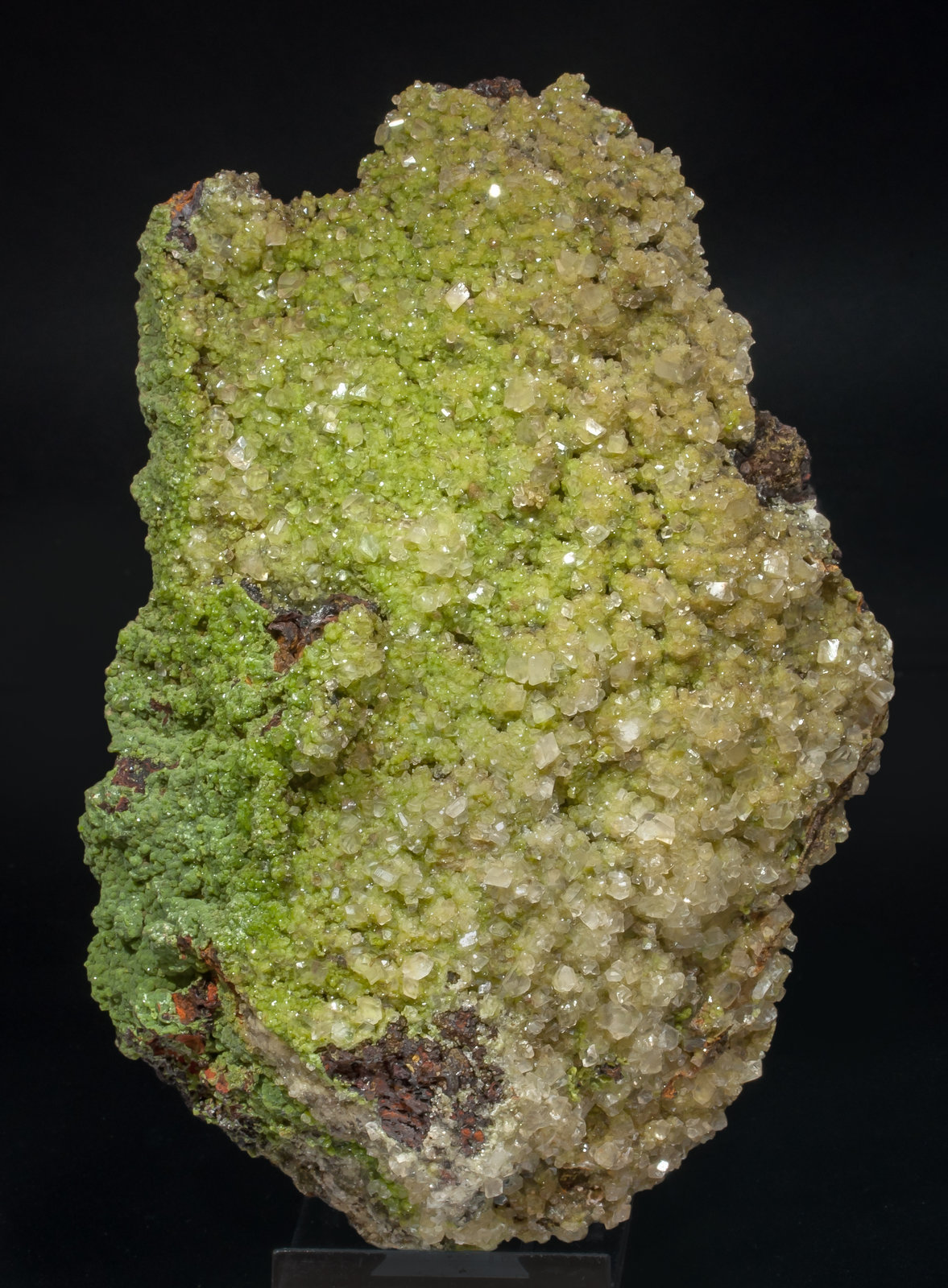 specimens/s_imagesAH7/Conichalcite_Duftite-MJ47AH7f.jpg