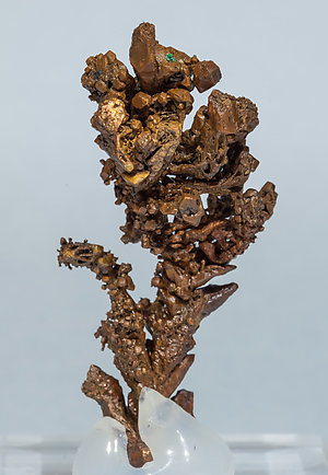 Cobre. Vista posterior