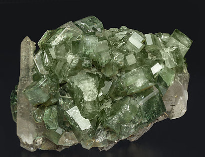 Fluorapatite with Quartz, Arsenopyrite, Muscovite and Chlorite.