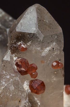 Garnet with Quartz (variety smoky) and Microcline. 