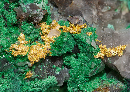 Gold with Malachite and Covellite. 