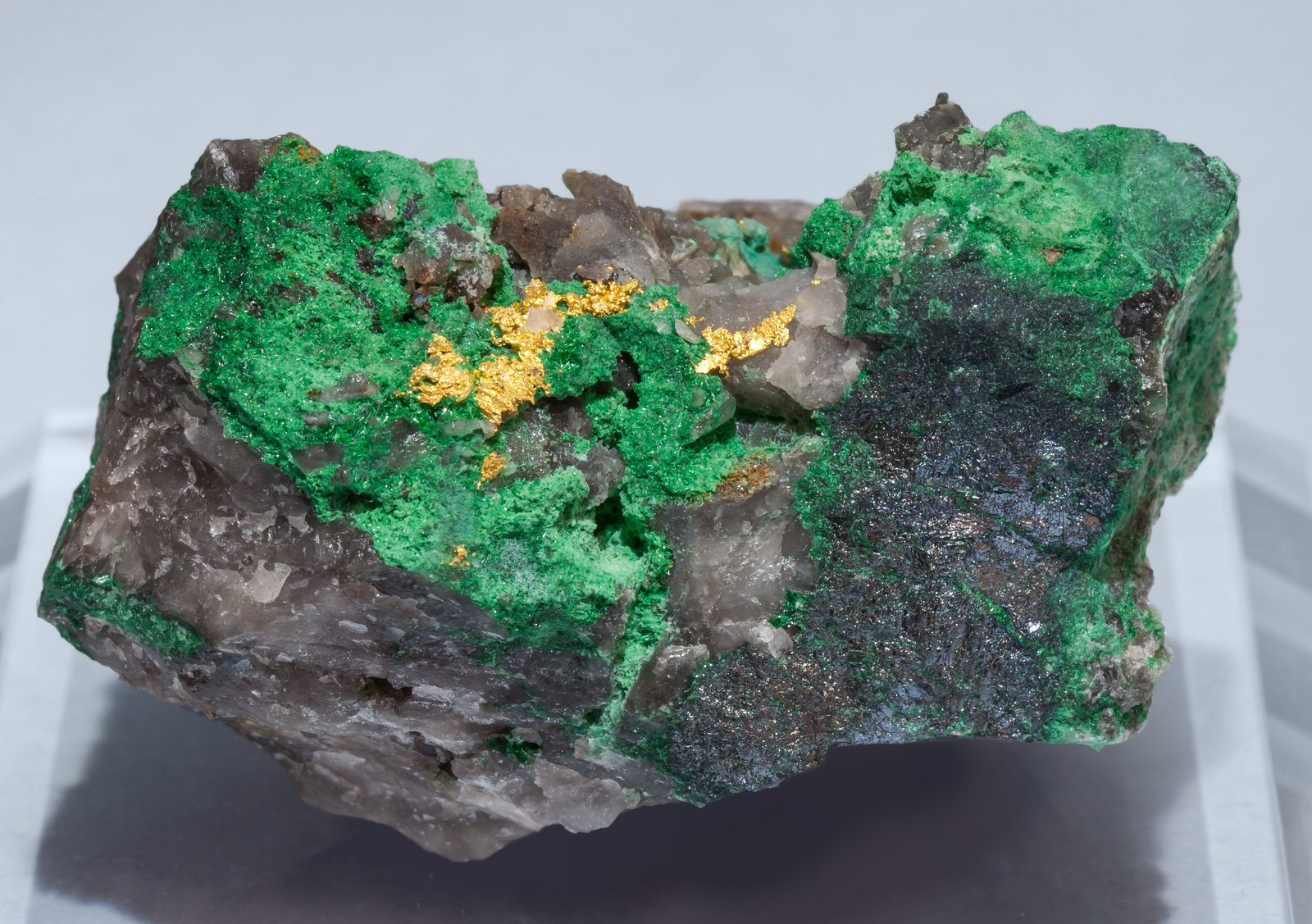 specimens/s_imagesAH7/Gold-EA11AH7f.jpg