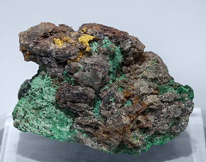 Gold with Malachite and Chrysocolla. Rear