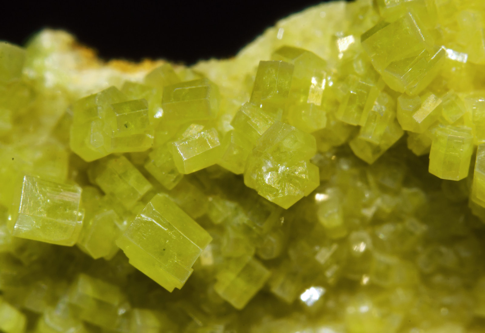 specimens/s_imagesAH7/Pyromorphite-NJ11AH7d.jpg