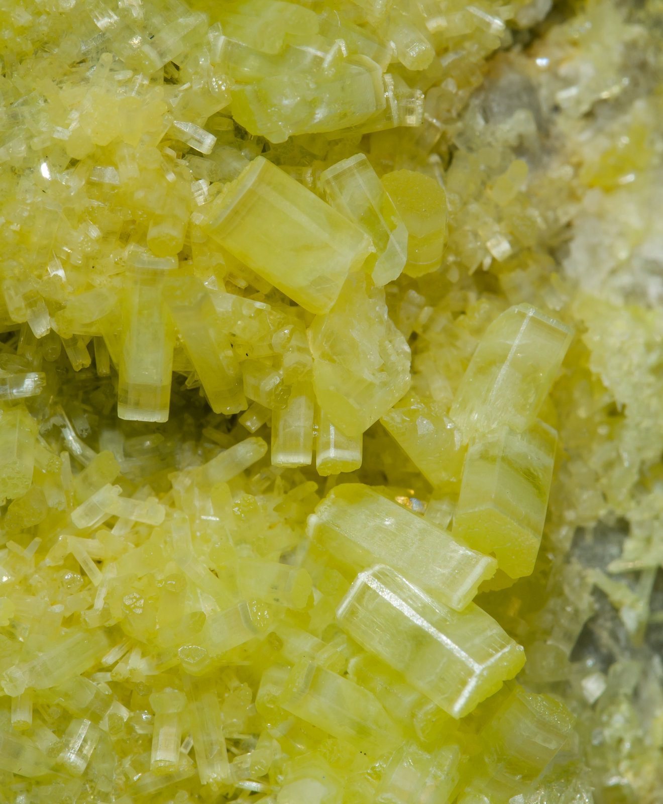 specimens/s_imagesAH7/Pyromorphite-NW86AH7d.jpg