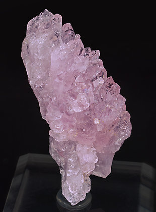 Quartz (variety rose).