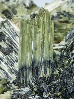 Actinolite with Ferro-actinolite. 
