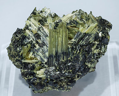 Actinolite with Ferro-actinolite.