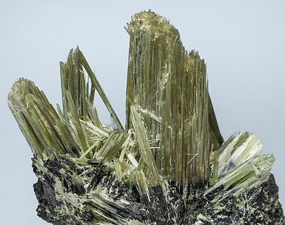 Actinolite with Ferro-actinolite. 