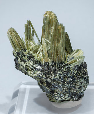 Actinolite with Ferro-actinolite. 