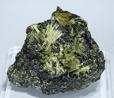 Actinolite with Ferro-actinolite. 