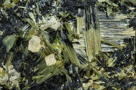 Actinolite with Ferro-actinolite. 