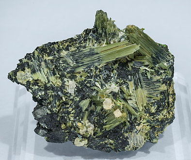 Actinolite with Ferro-actinolite.