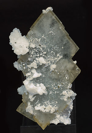 Baryte with Quartz and Pyrite. Rear