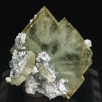 Baryte with Quartz and Pyrite.