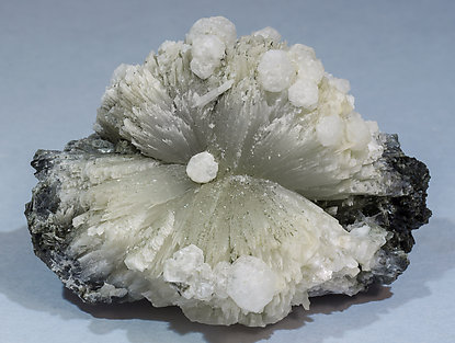 Analcime with Prehnite, Actinolite and Ferro-actinolite.