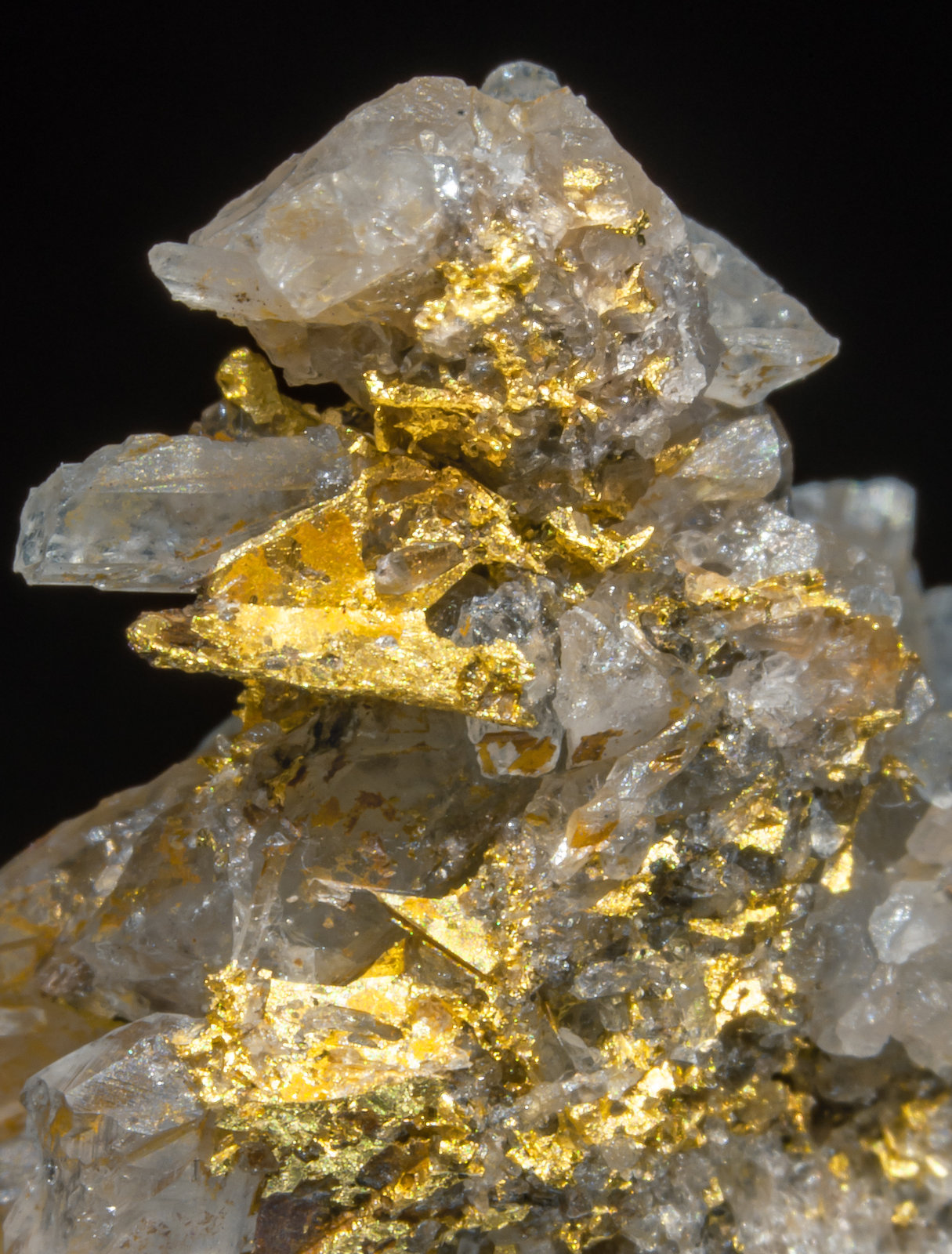 specimens/s_imagesAH9/Gold-EG69AH9d.jpg