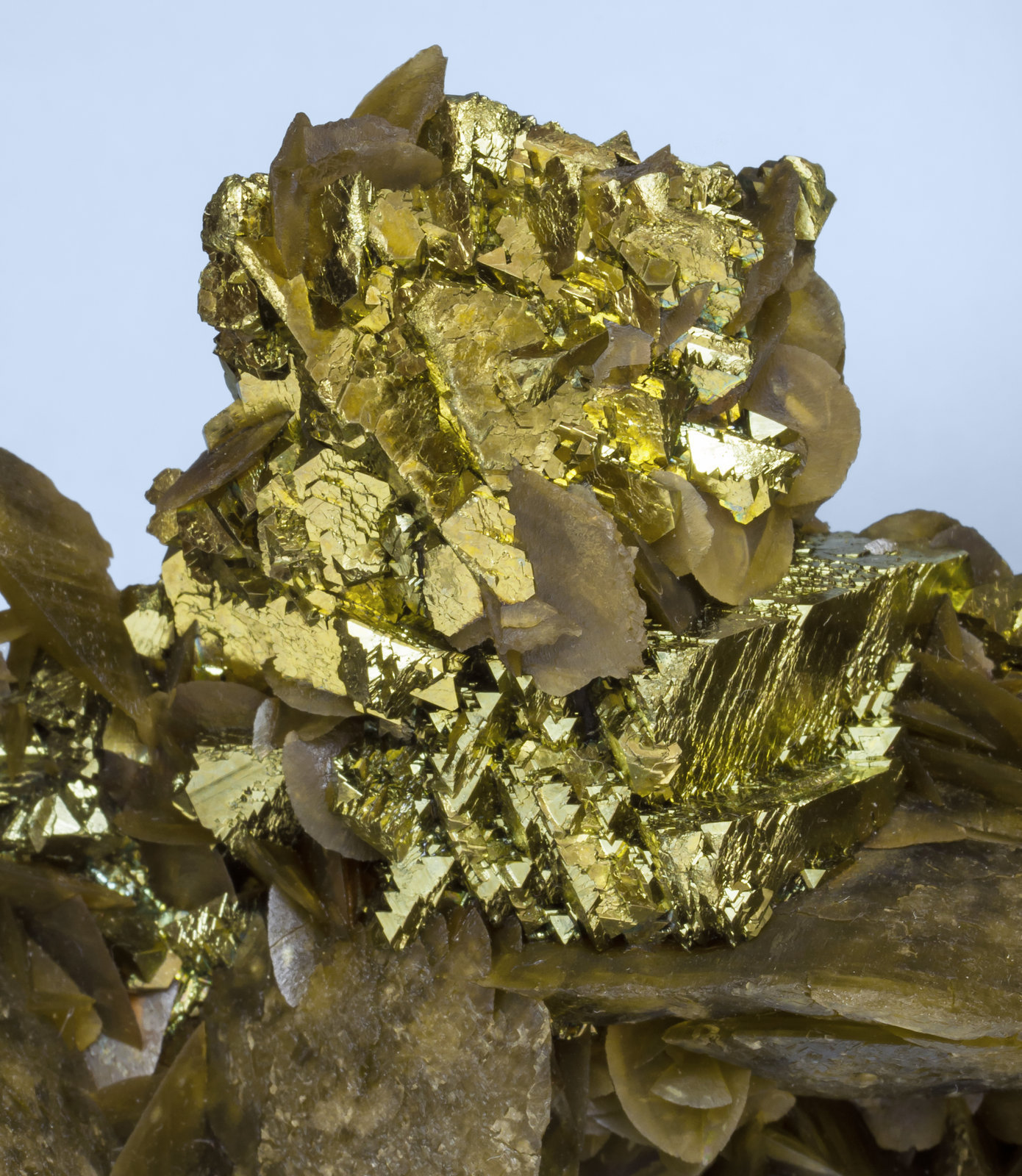 specimens/s_imagesAI0/Chalcopyrite-MX54AI0d.jpg