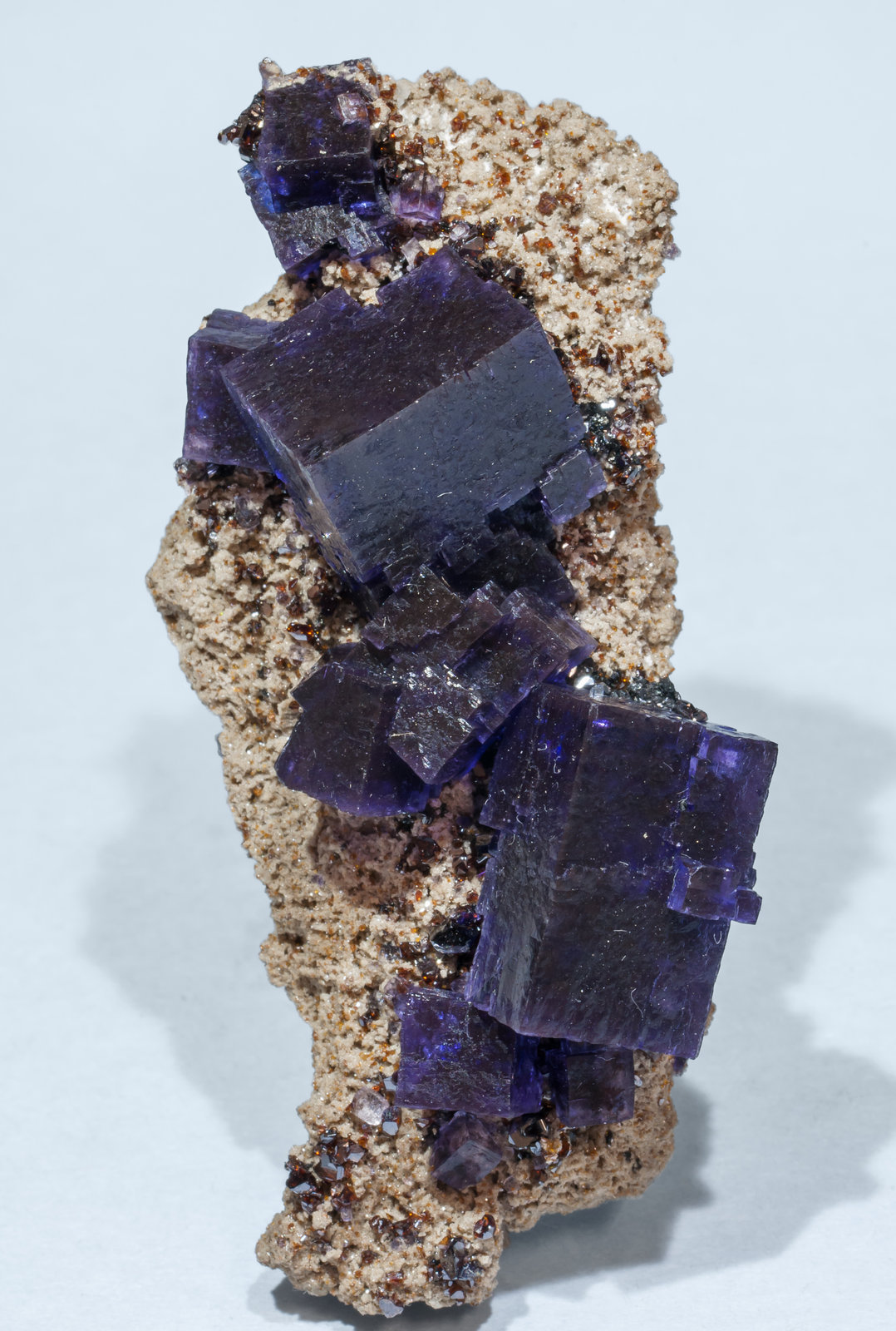 specimens/s_imagesAI0/Fluorite-DG14AI0s.jpg