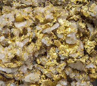 Gold with Quartz. 