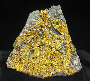 Gold with Quartz.