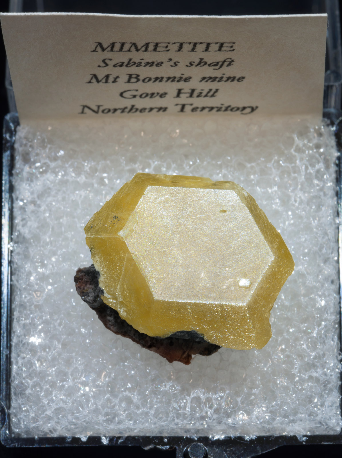 specimens/s_imagesAI0/Mimetite-TB74AI0f1.jpg