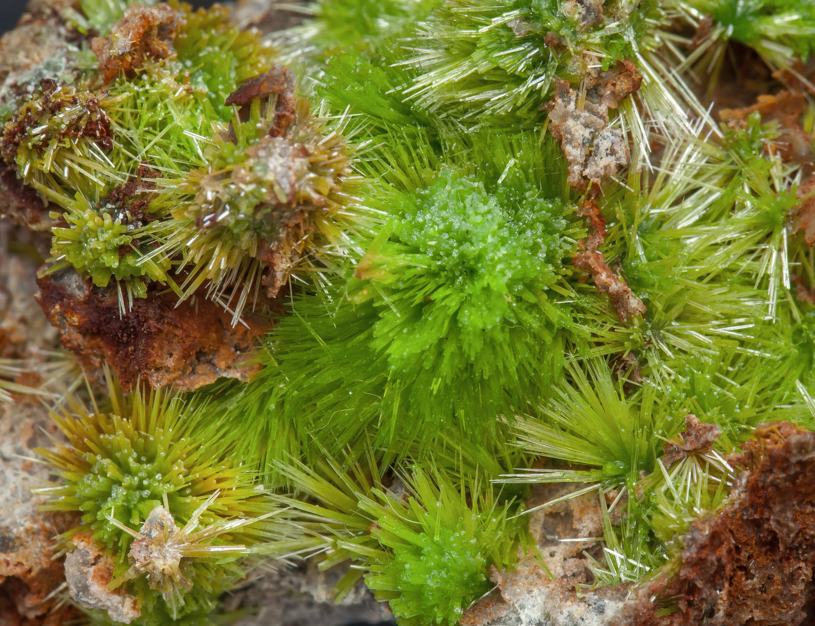 specimens/s_imagesAI0/Pyromorphite-NF76AI0d.jpg