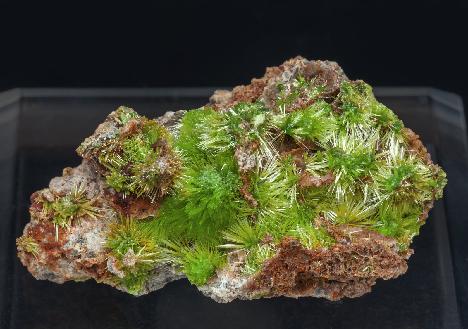 specimens/s_imagesAI0/Pyromorphite-NF76AI0f.jpg