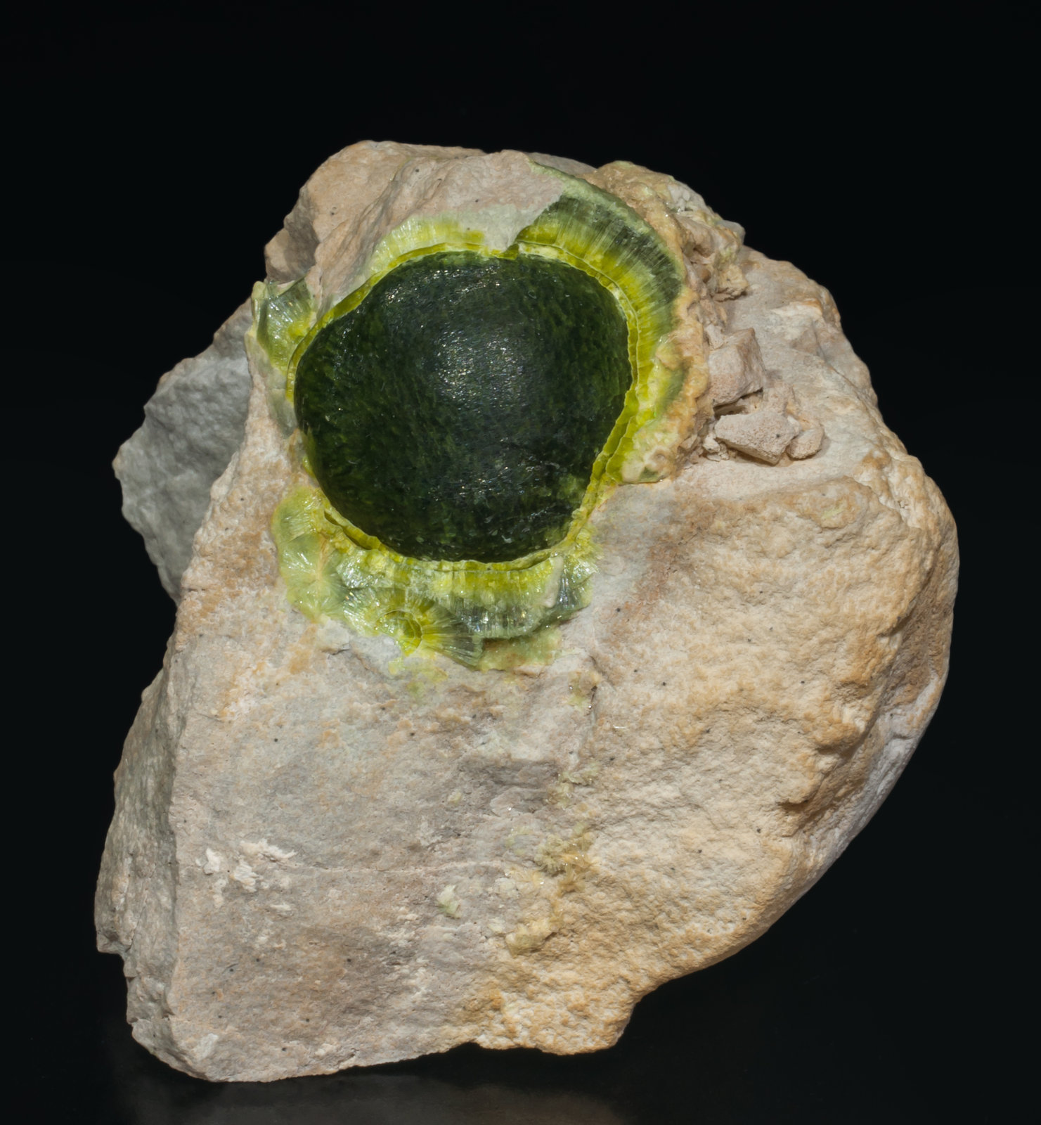 specimens/s_imagesAI0/Wavellite-EN96AI0f.jpg