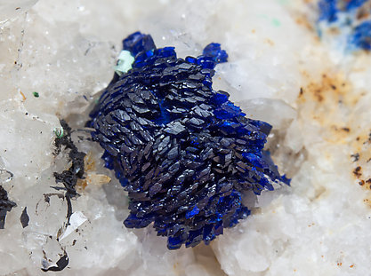 Azurite with Quartz. 